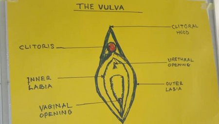 Zeichnung einer Vulva mit erklärenden Bezeichnungen einzelner Bestandteile wie Klitoris oder Vaginalöffnung.